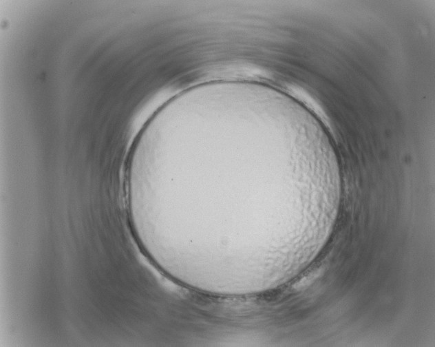 X0000078241103200611251232