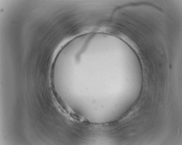 X0000078241104200611251232