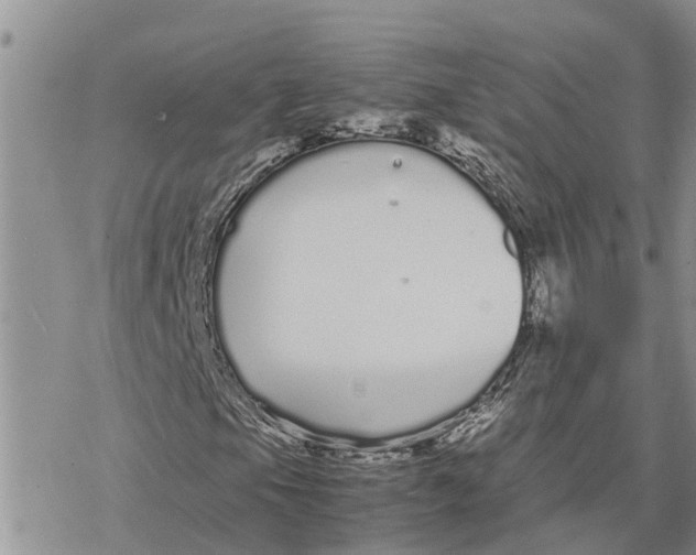 X0000078241105200611251232