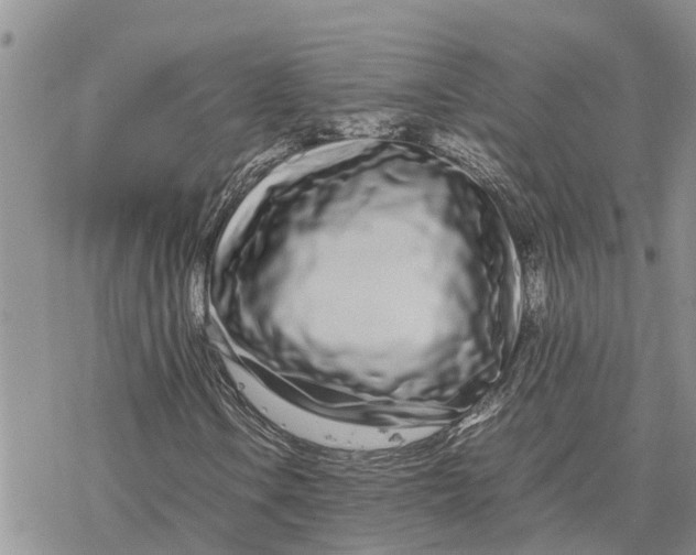 X0000078241106200611251232