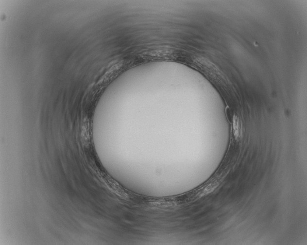 X0000078241107200611251232