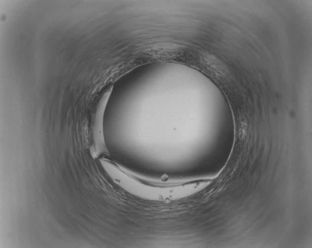 X0000078241108200611251232