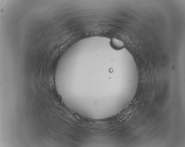 X0000078241109200611251232