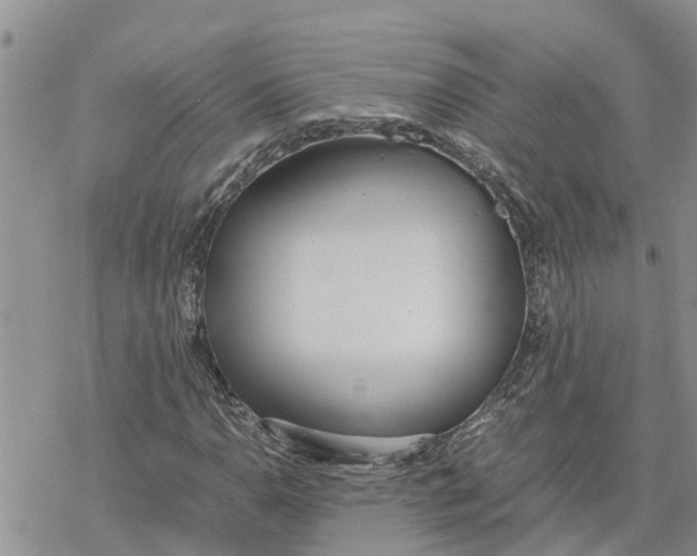 X0000078241110200611251232