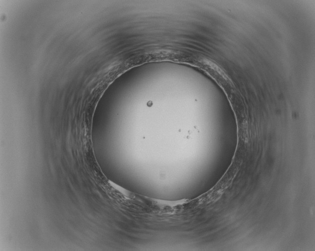 X0000078241111200611251232