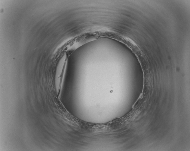 X0000078241112200611251232