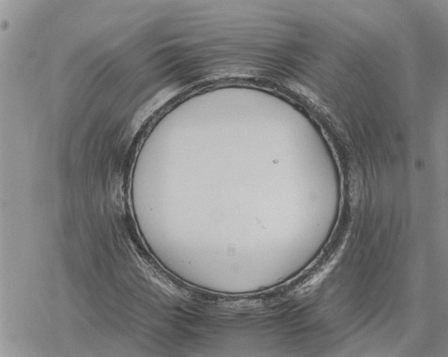 X0000078241113200611251232