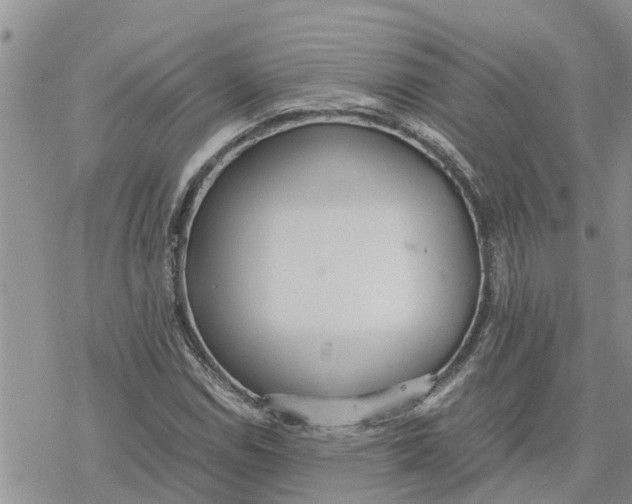 X0000078241114200611251232