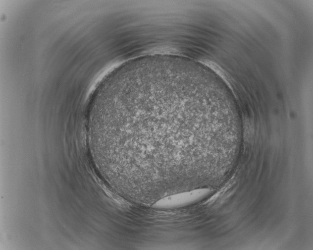 X0000078241115200611251232