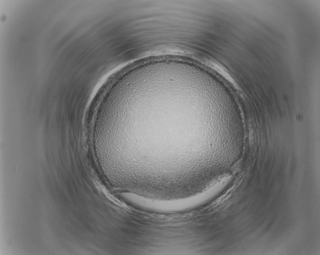 X0000078241116200611251232