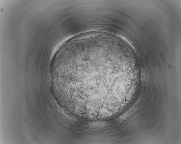 X0000078241117200611251232