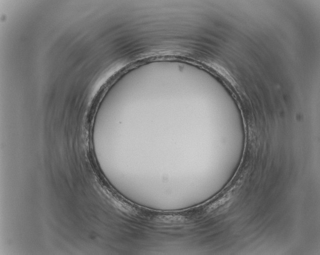 X0000078241119200611251232