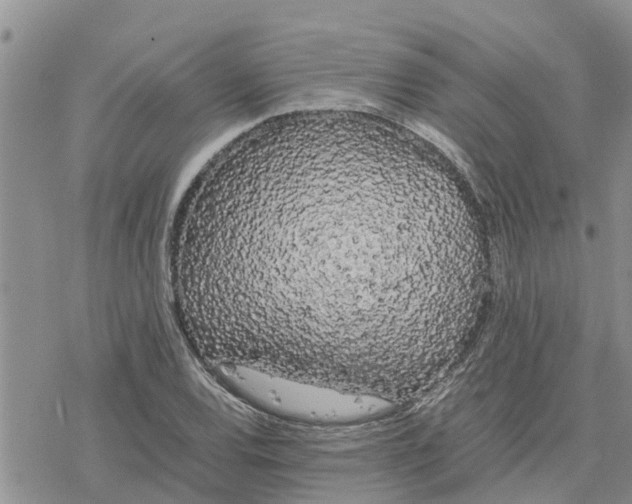 X0000078241120200611251232