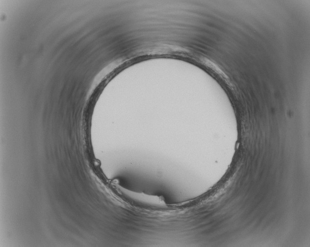 X0000078241122200611251232