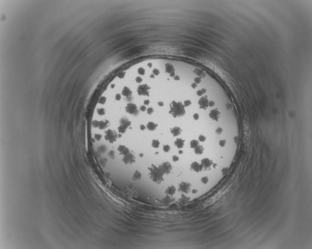 X0000078241123200611251232