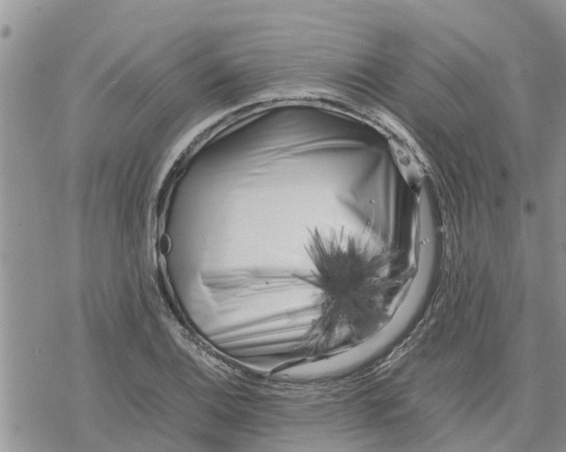 X0000078241124200611251232