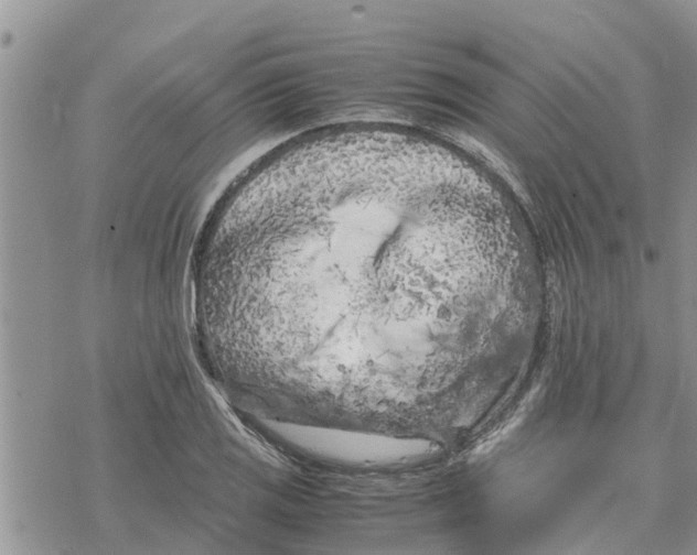 X0000078241125200611251232