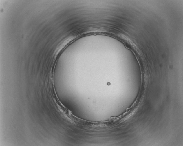 X0000078241129200611251232