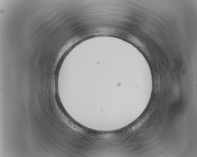 X0000078241130200611251232