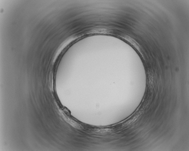 X0000078241131200611251232