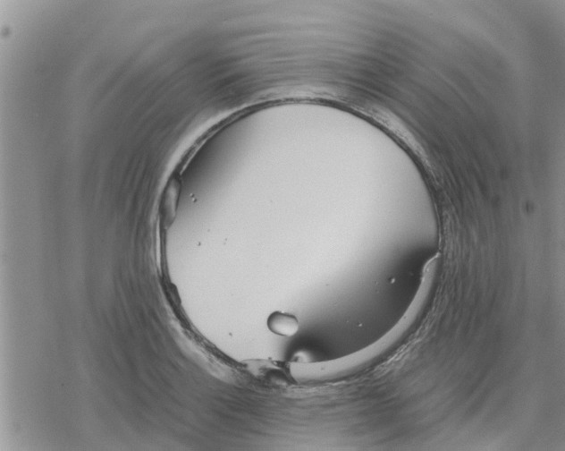 X0000078241132200611251232