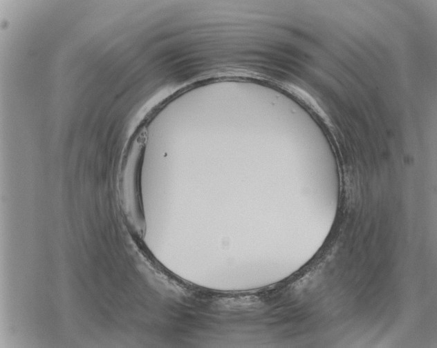 X0000078241133200611251232