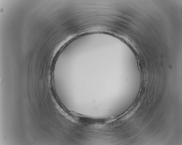 X0000078241134200611251232