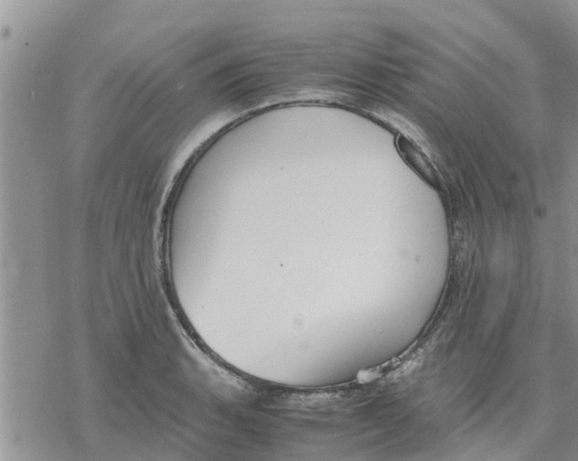 X0000078241135200611251232