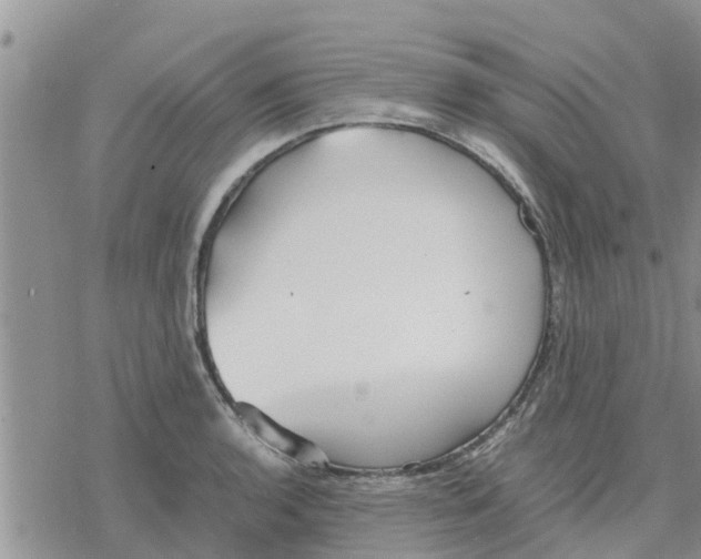 X0000078241136200611251232