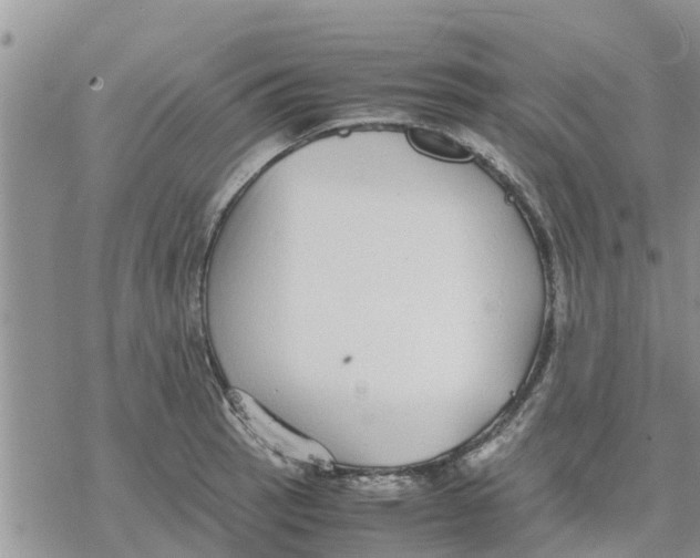 X0000078241137200611251232