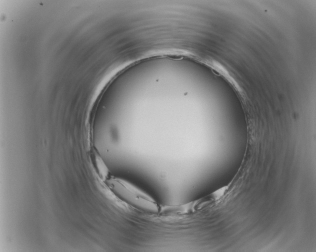 X0000078241140200611251232