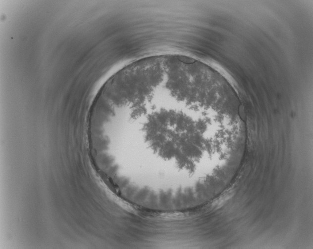 X0000078241142200611251232