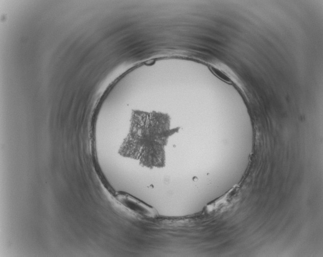 X0000078241143200611251232