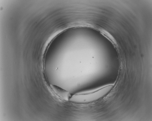 X0000078241144200611251232