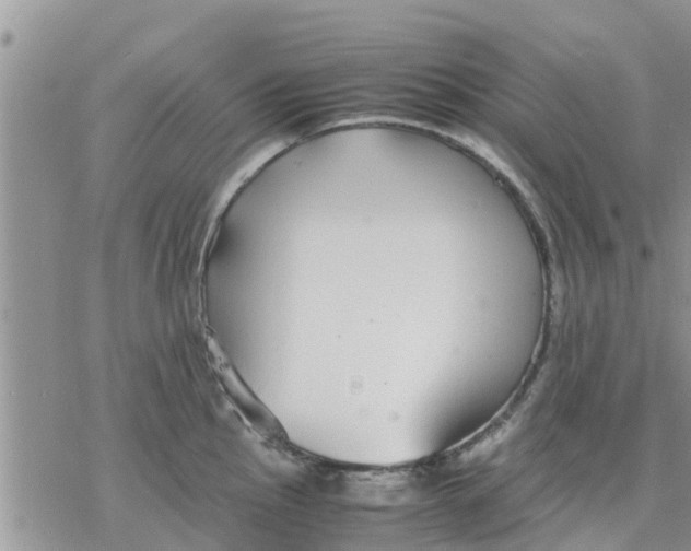 X0000078241145200611251232