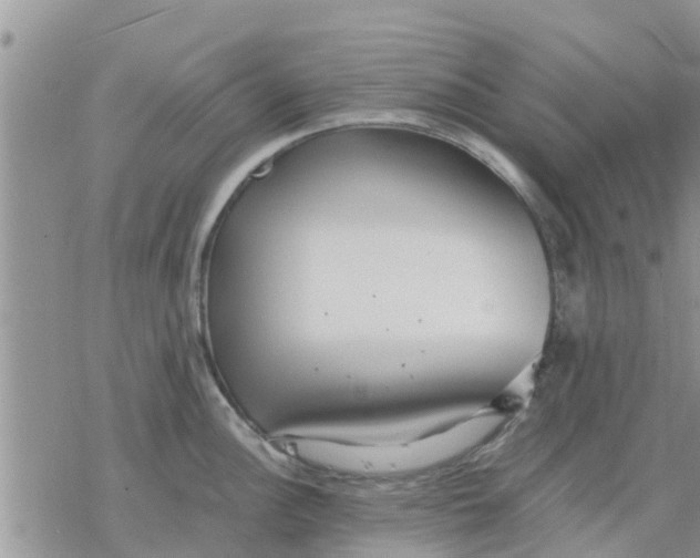 X0000078241148200611251232