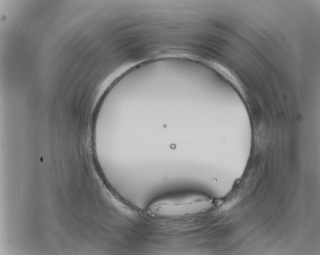 X0000078241149200611251232