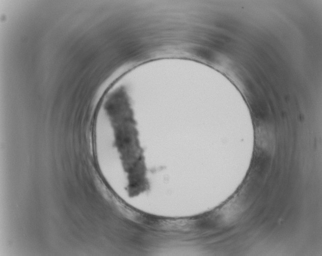 X0000078241150200611251232