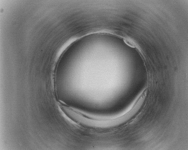 X0000078241151200611251232