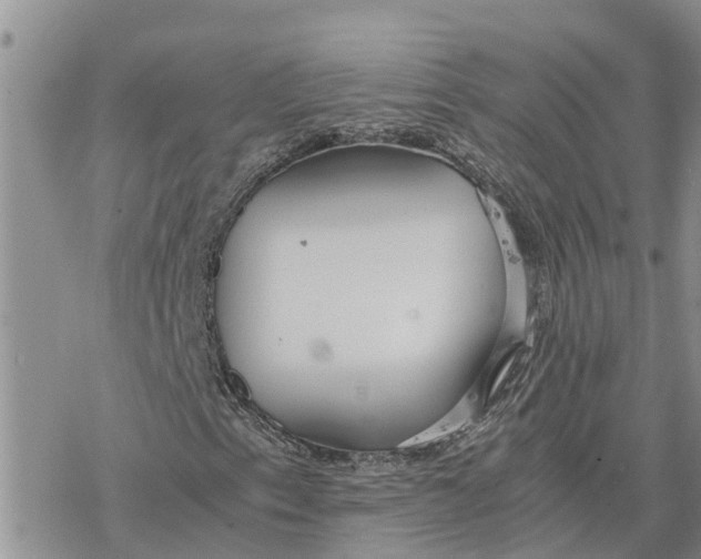 X0000078241153200611251232