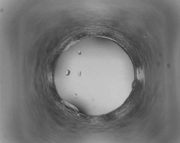 X0000078241155200611251232