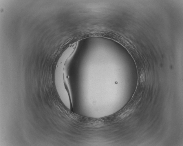 X0000078241156200611251232