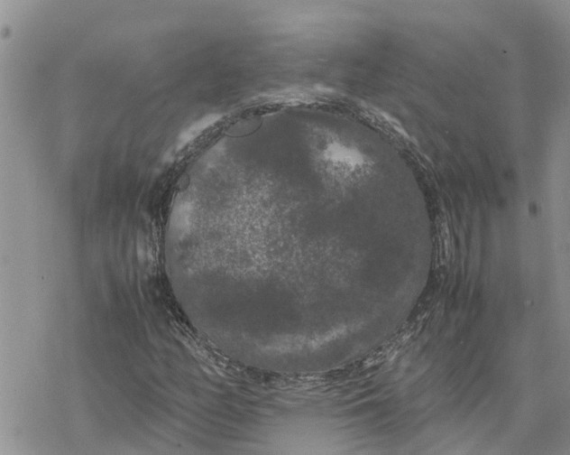 X0000078241158200611251232