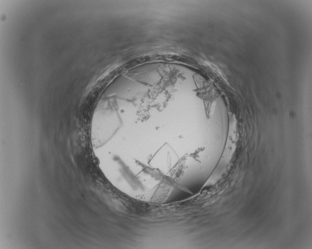 X0000078241159200611251232