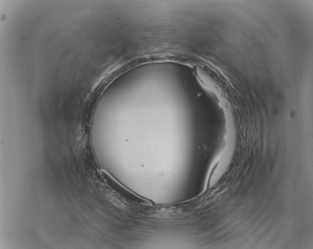 X0000078241160200611251232