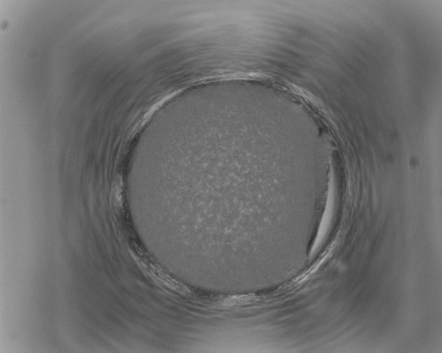 X0000078241161200611251232