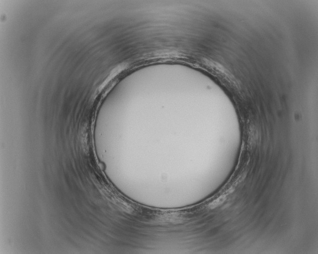 X0000078241162200611251231