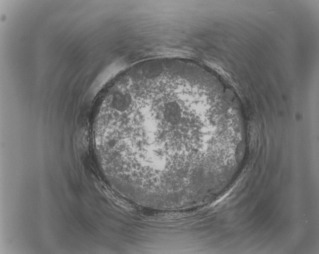 X0000078241163200611251231