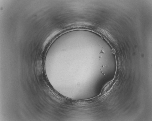 X0000078241164200611251231