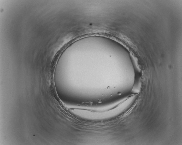 X0000078241165200611251231